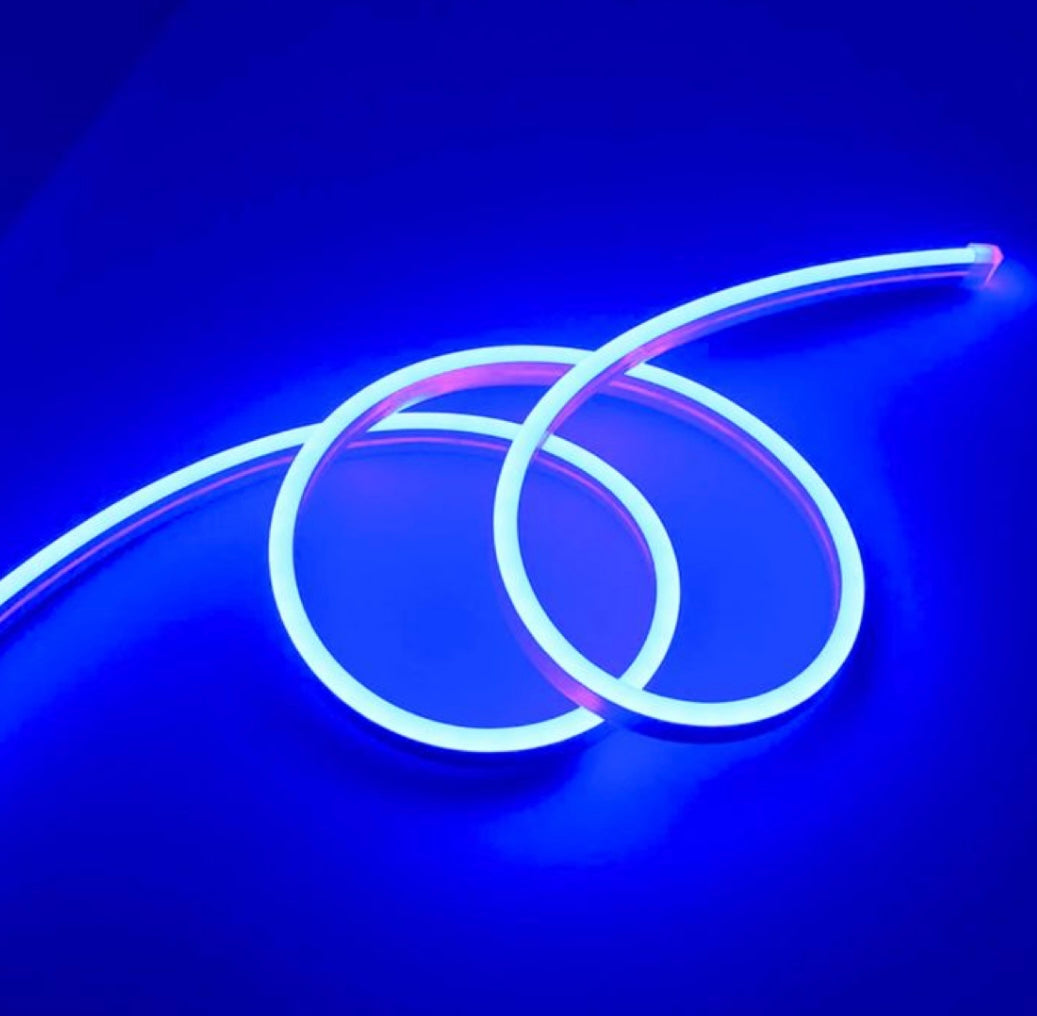 Cinta LED NeonFlex 5m + Adaptador 12V